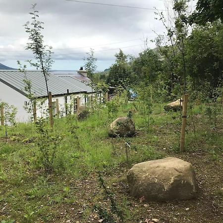 An Bothan-Cosy Cottage In The Cooley Mountains ดันดอล์ก ภายนอก รูปภาพ