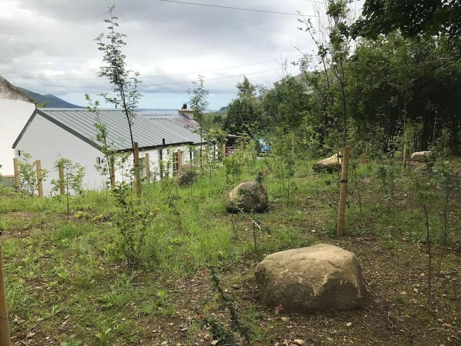 An Bothan-Cosy Cottage In The Cooley Mountains ดันดอล์ก ภายนอก รูปภาพ