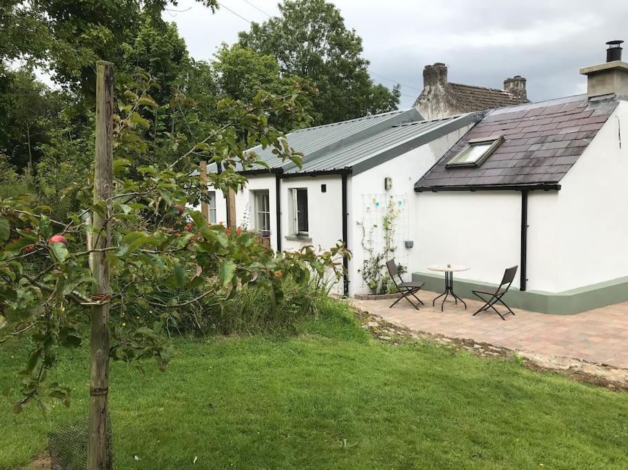 An Bothan-Cosy Cottage In The Cooley Mountains ดันดอล์ก ภายนอก รูปภาพ