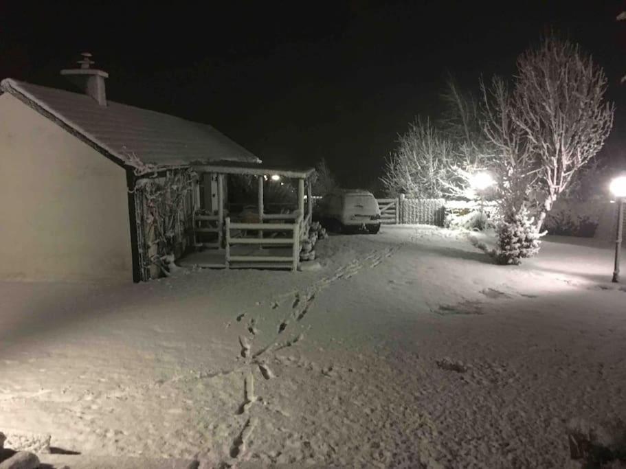 An Bothan-Cosy Cottage In The Cooley Mountains ดันดอล์ก ภายนอก รูปภาพ